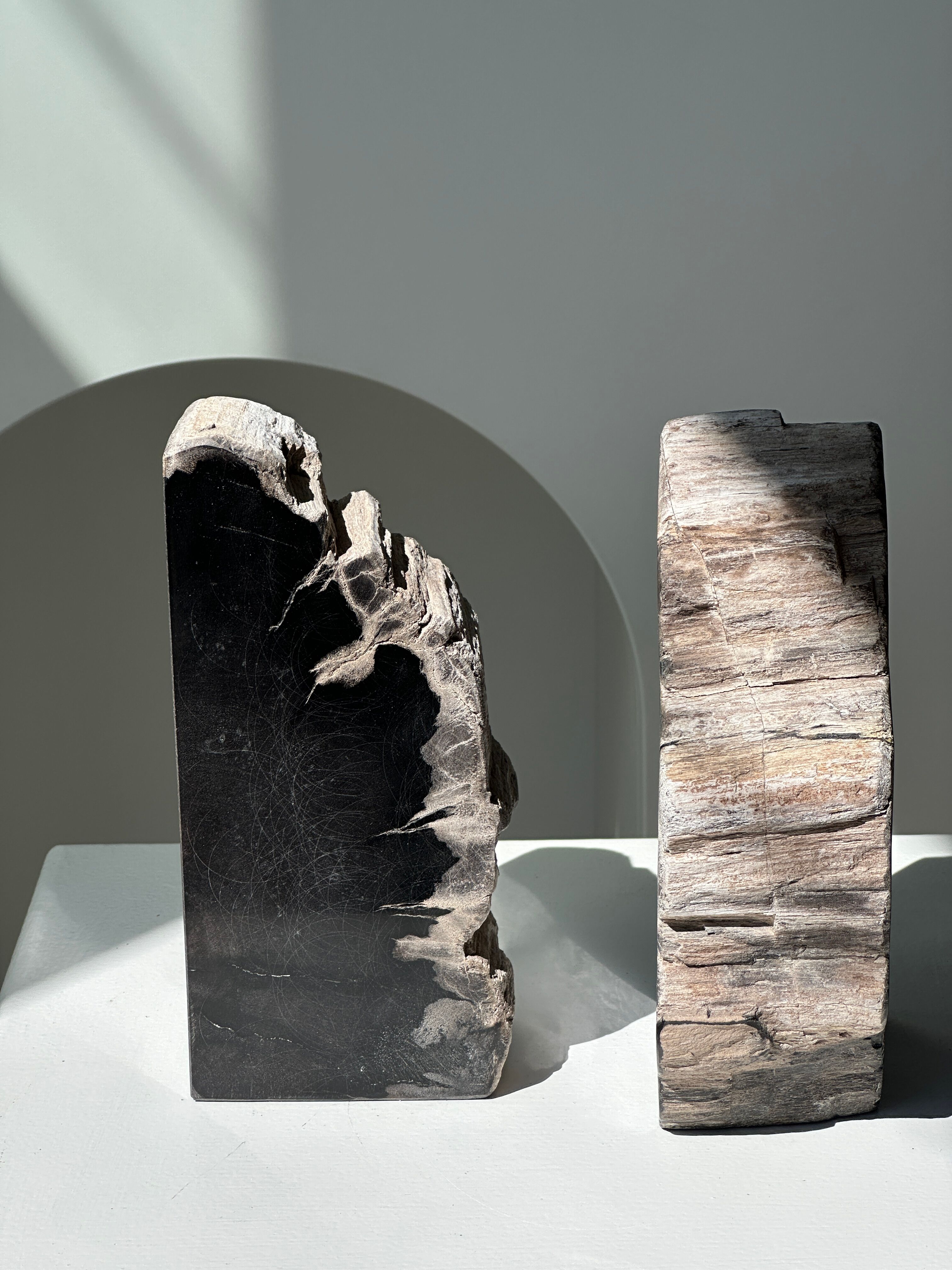 Black petrified wood bookend H17 L17 P6