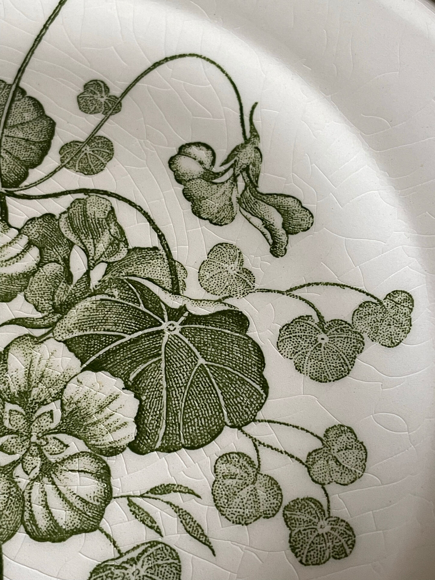 Five dessert plates "capucines" in Gien earthenware.