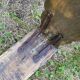 Banc de ferme en bois