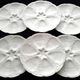 6 Porcelain oyster plates CNP Compagnie Nationale de Porcelaine