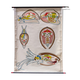 Affiche "Mollusca" plans de construction dans le règne animal Verlag Gerhard Gamke Berlin 1967