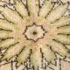 7x10 Turkish Oriental Pattern Light Yellow & Brown Vintage Rug, 215x320Cm