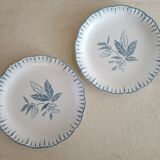 Set of 2 iron earth plates
