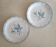Lot de 2 assiettes terre de fer