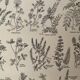 Lithograph on aromatic and melliferous plants - 1920