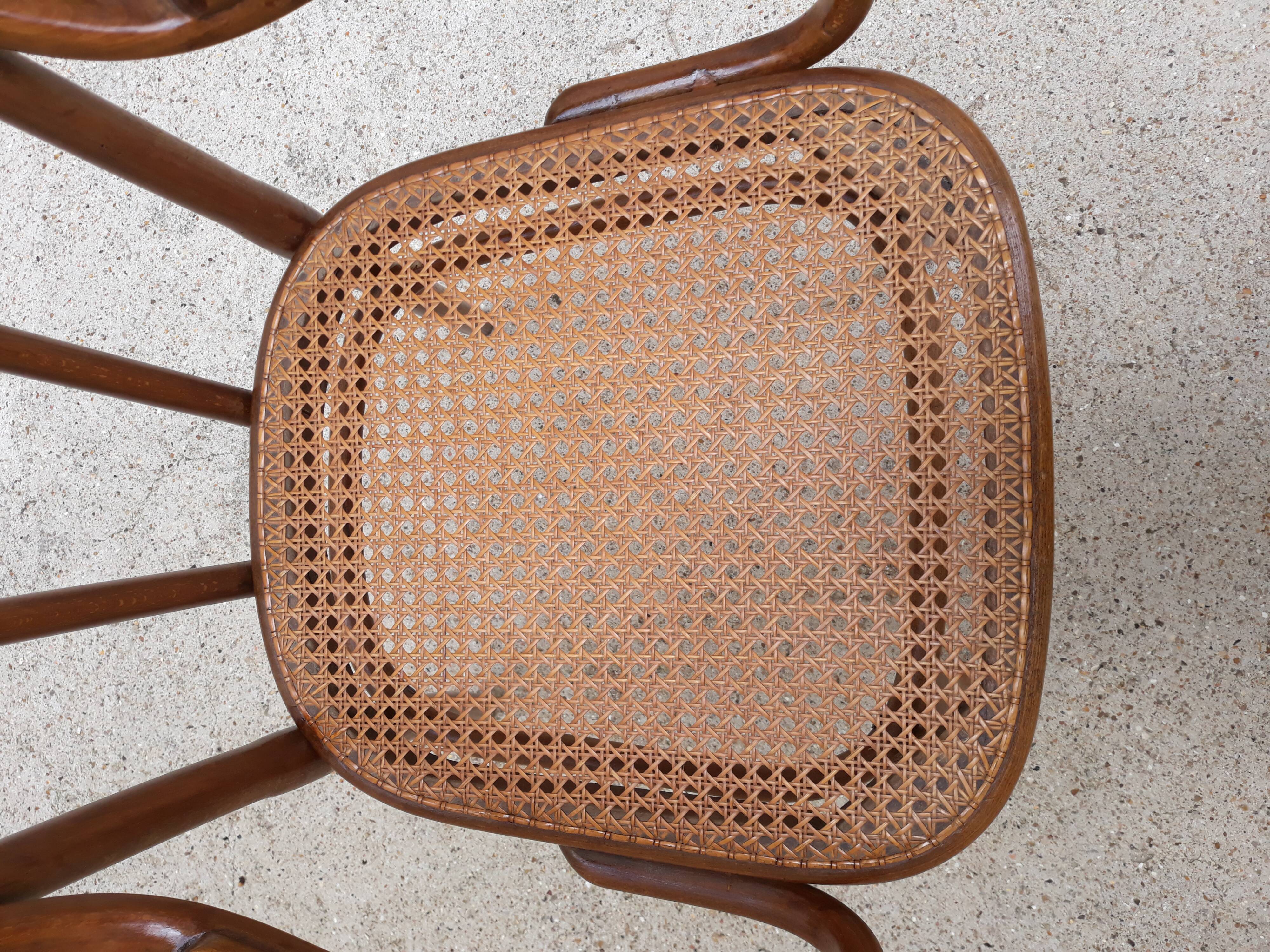 Armchair nr11 in curved wood signed Thonet
