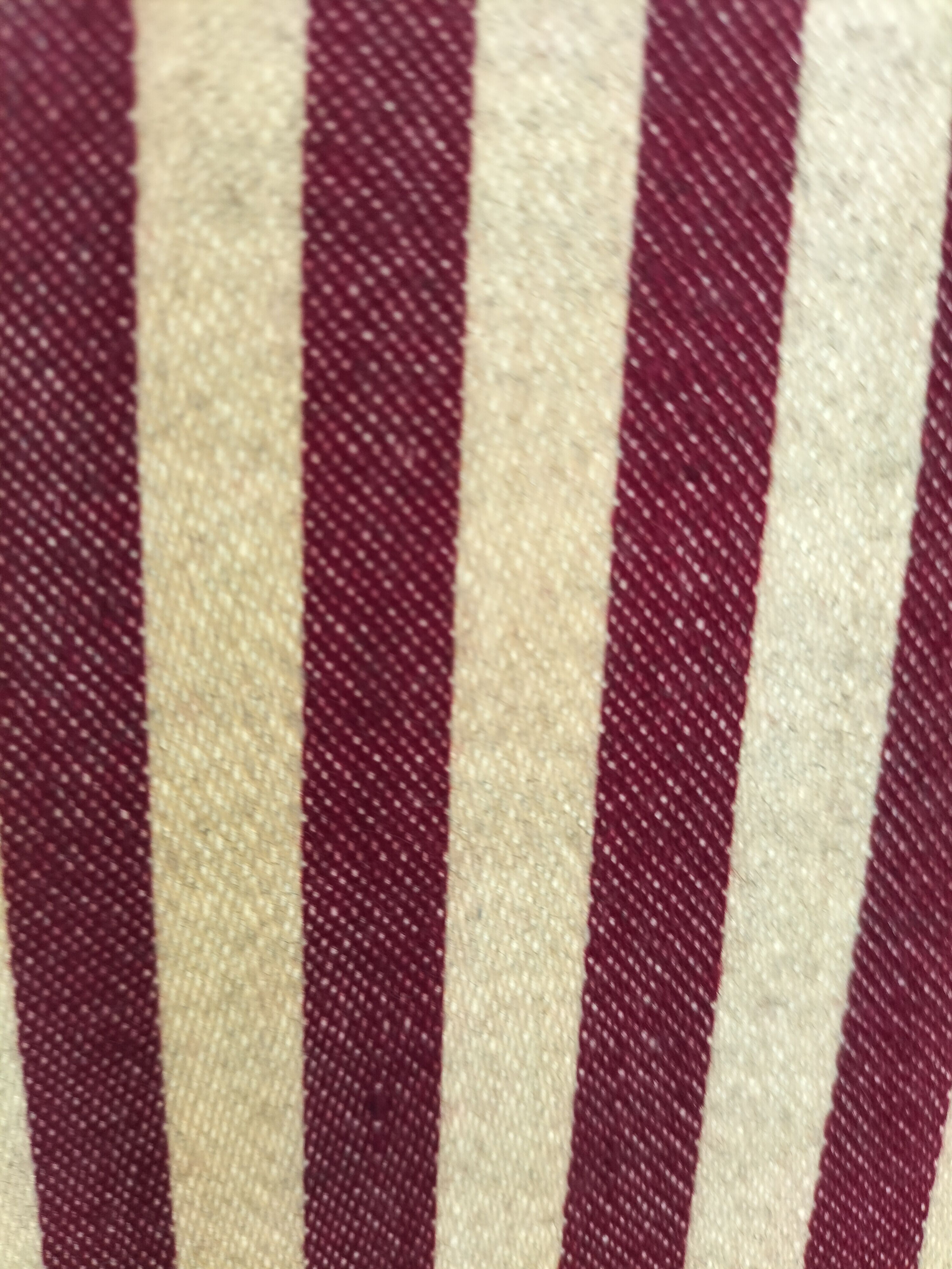 Screen year 50 studded