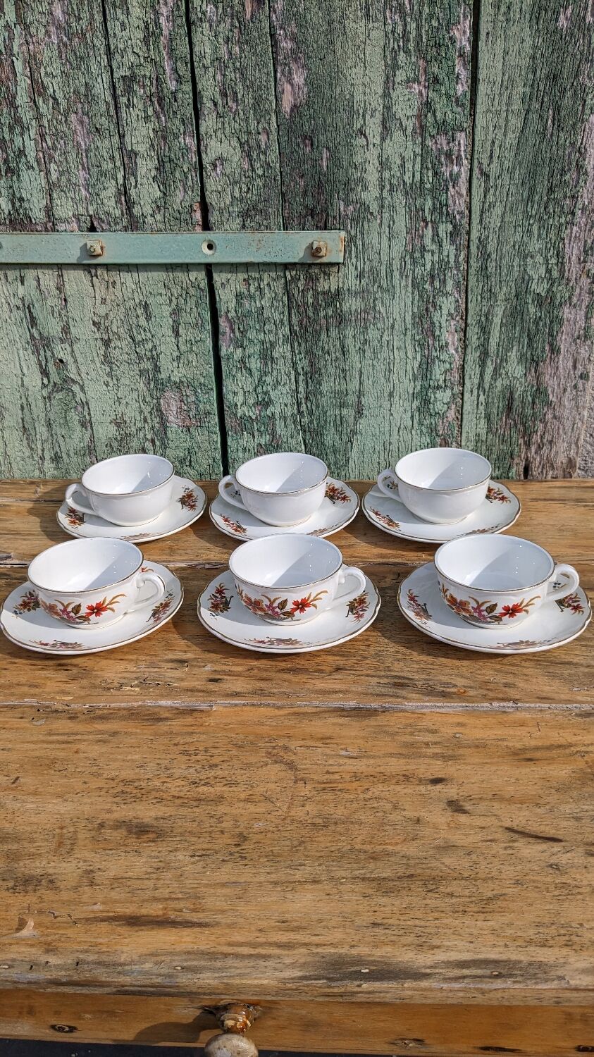 Lot de six tasses Digoin modèle Trouvère