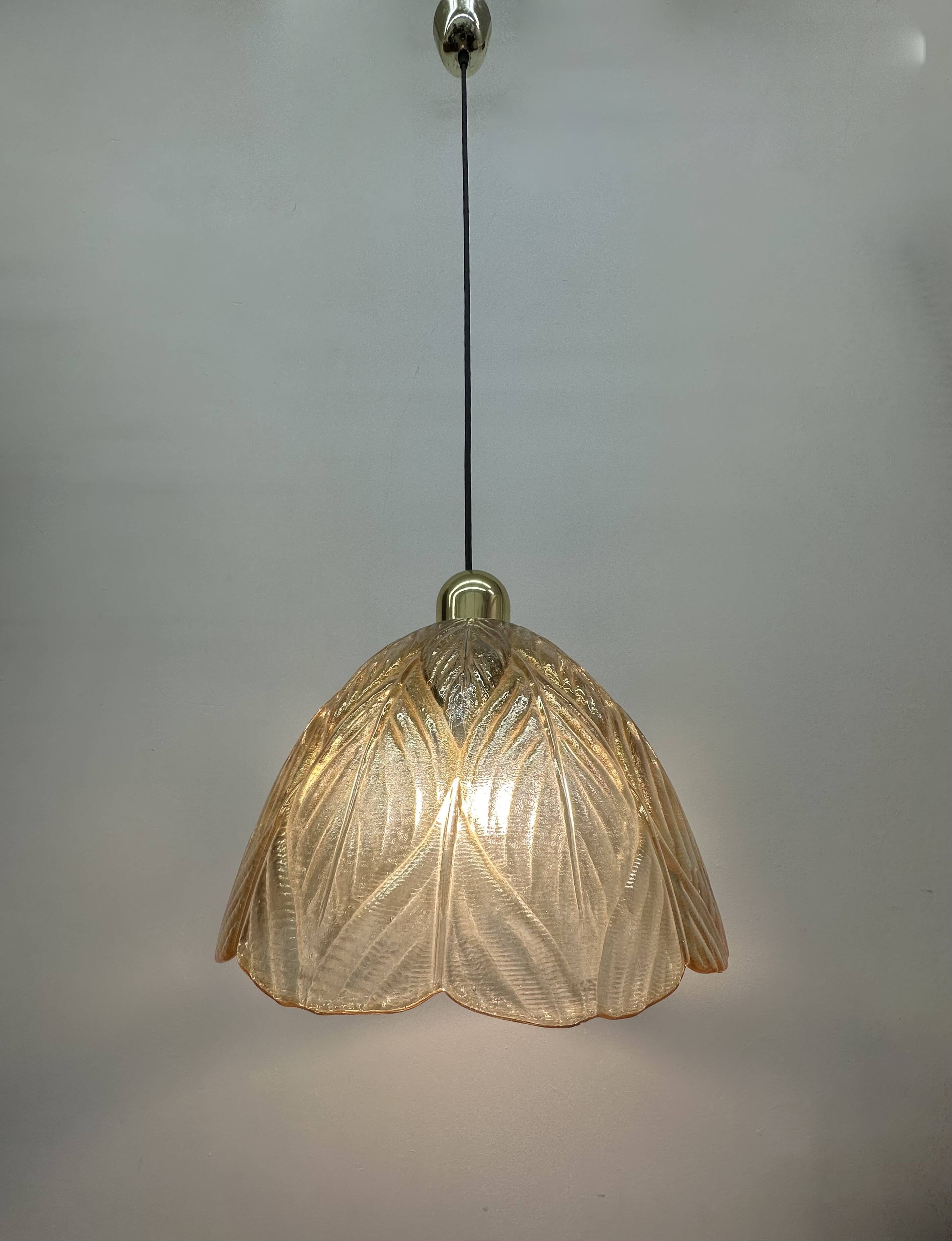 Peil & Putzer glass leaf hanging lamp , 1970’s