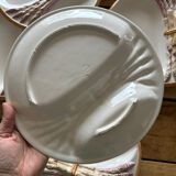 Asparagus plates barbotine