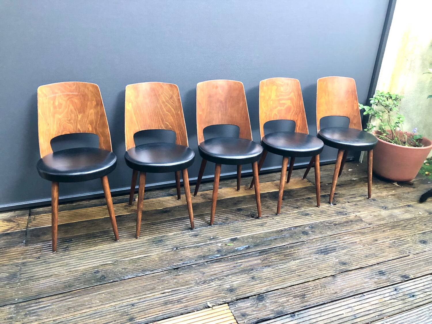 Set de 5 chaises Baumann Mondor