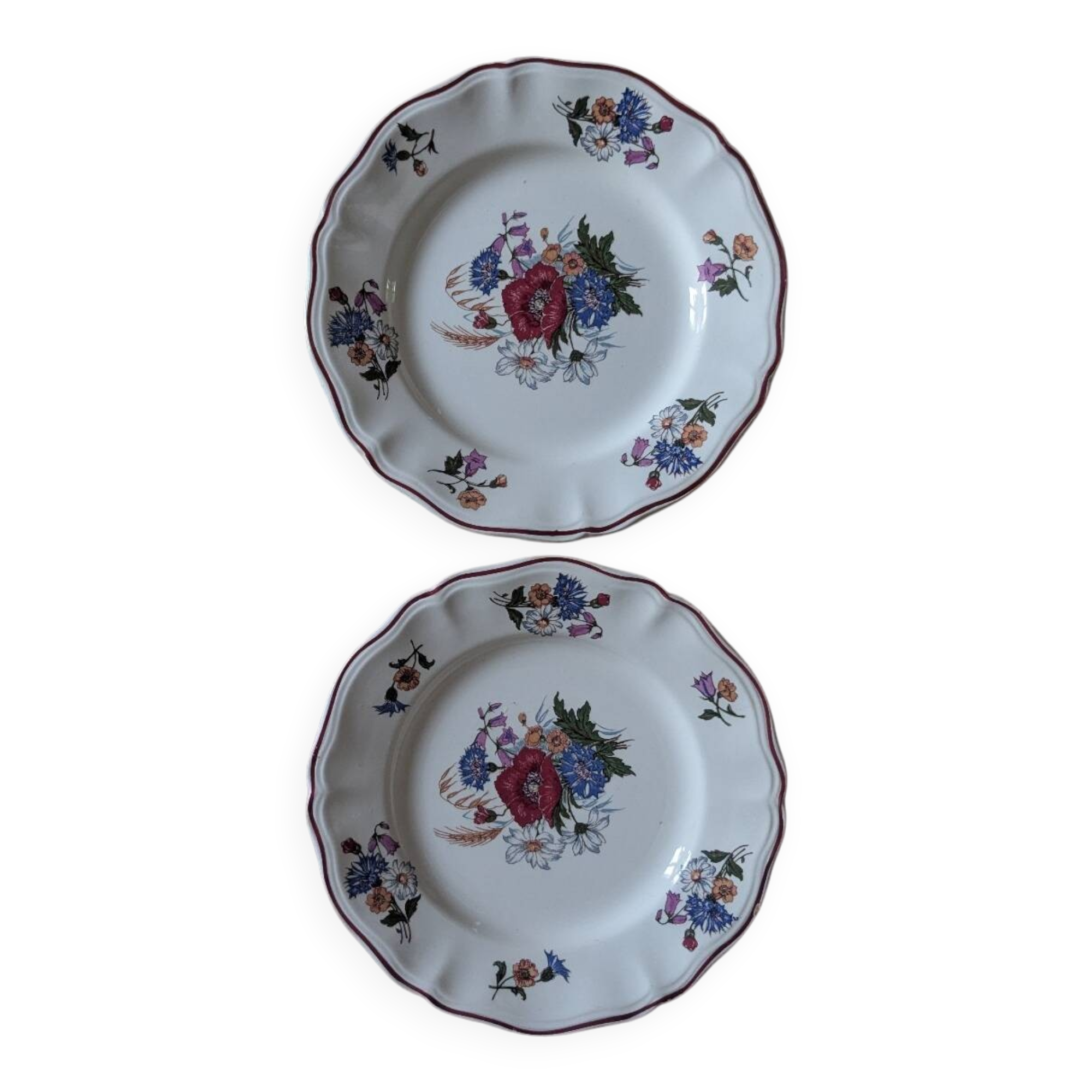 Two Sarreguemines Agreste dinner plates