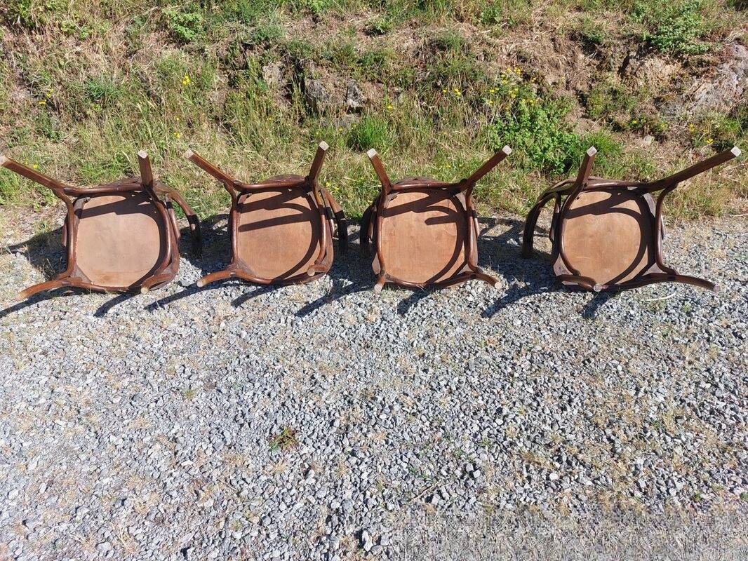 4 Baumann armchairs in bent wood