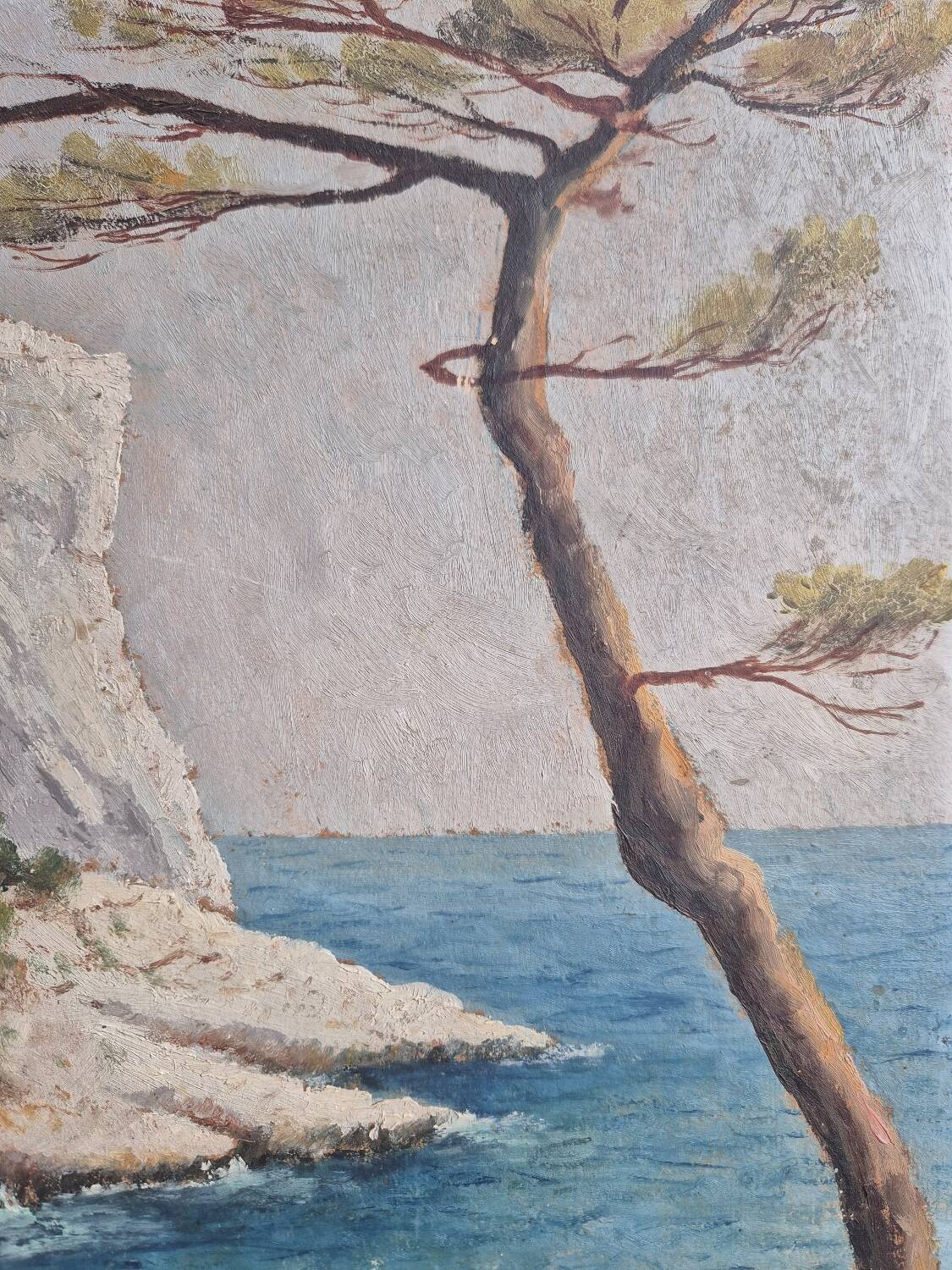 Coastal edge with leaning pine - Oil on cardboard