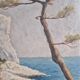 Coastal edge with leaning pine - Oil on cardboard