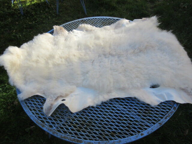 Sheepskin