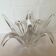 Ancienne coupe en cristal Baccarat