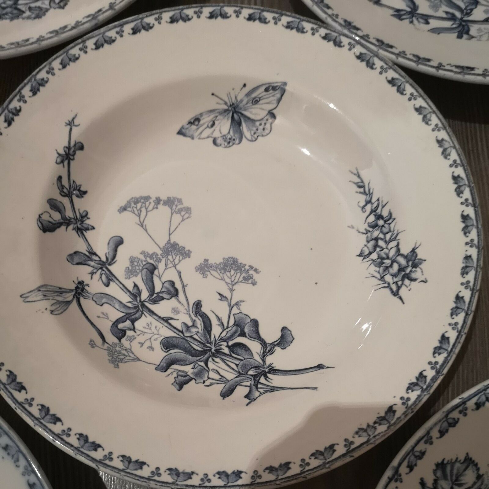 Series of 6 hollow plates in Sarreguemines earthenware model Carmen