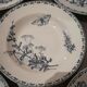 Series of 6 hollow plates in Sarreguemines earthenware model Carmen