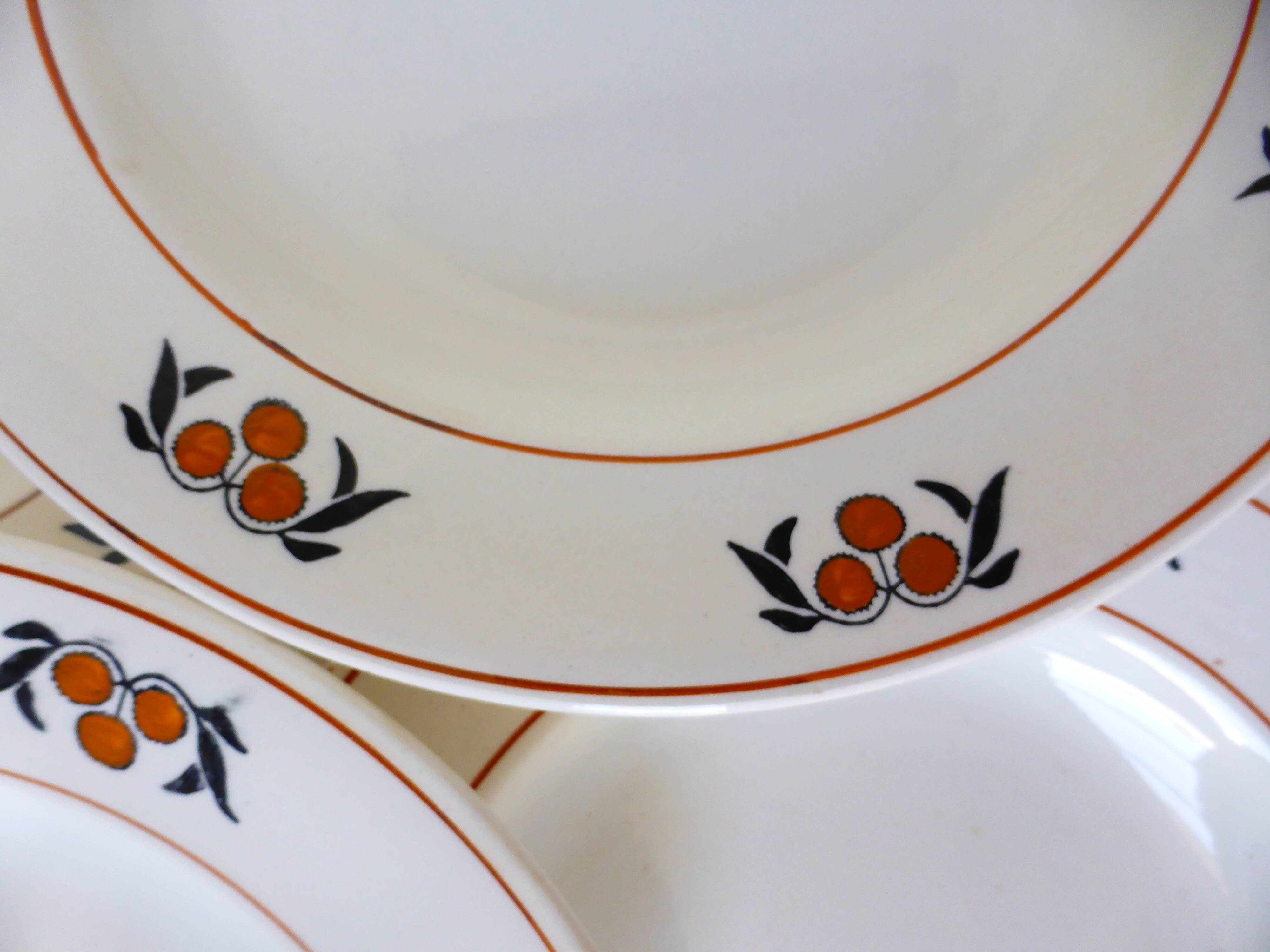 6 hollow plates in iron earth of the Salins model Mimosa 210753