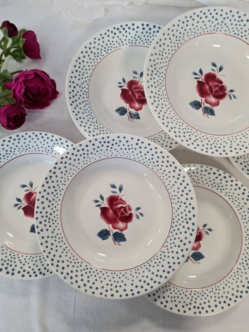 Assiettes creuses anciennes X6 modèle "René" de la manufacture française de Digoin
