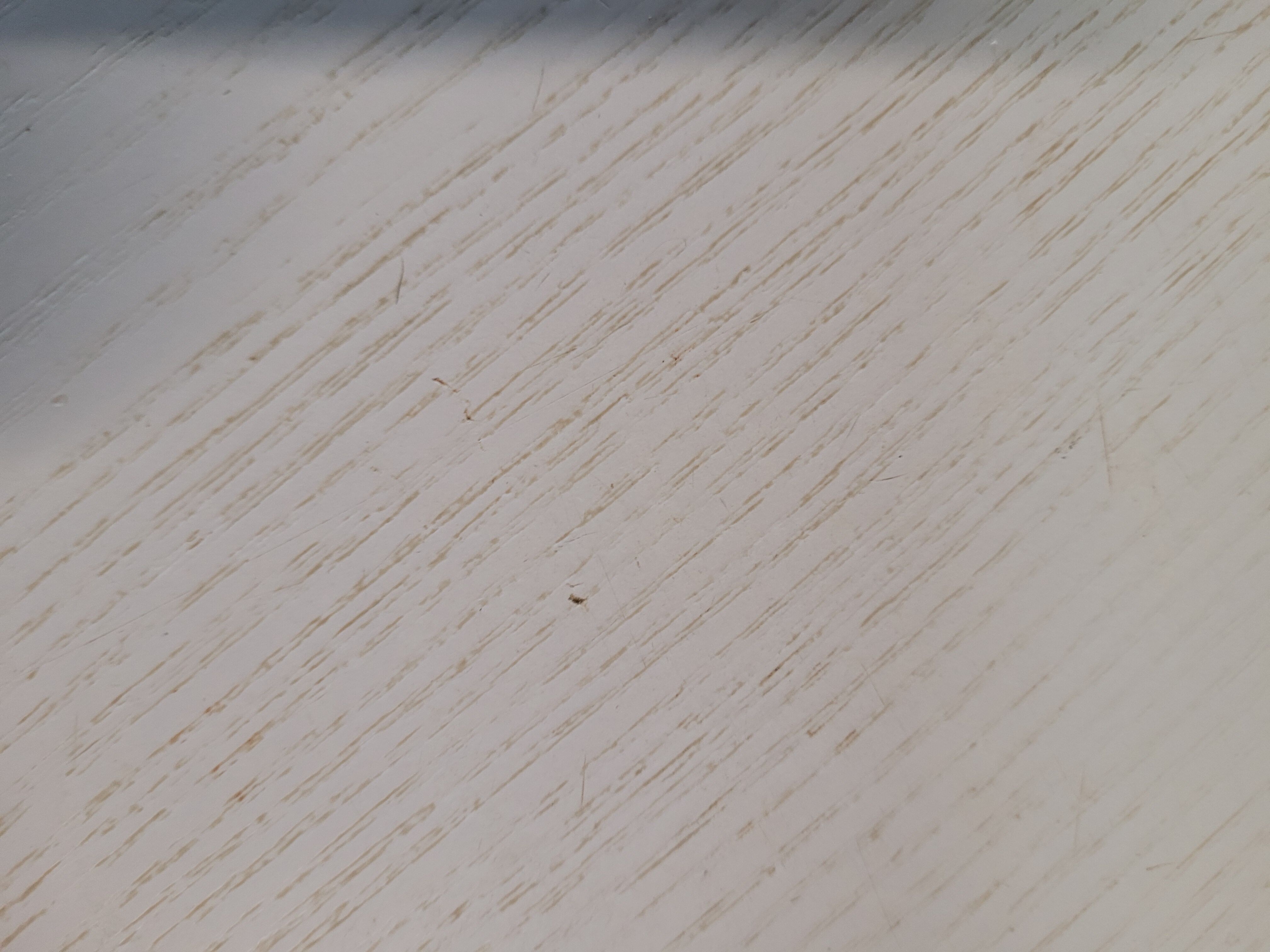 Tulip foot coffee table