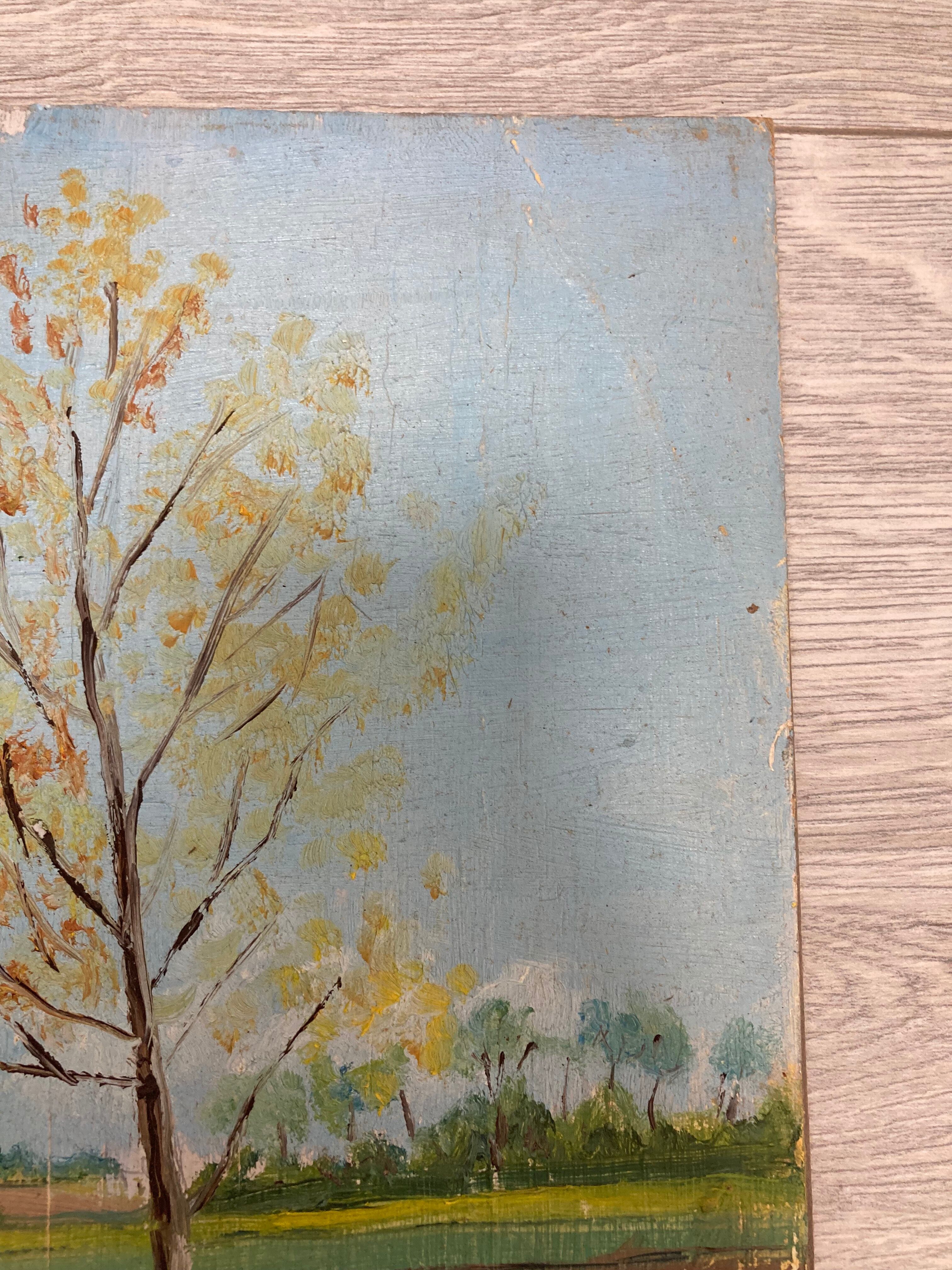Vintage poplar paint