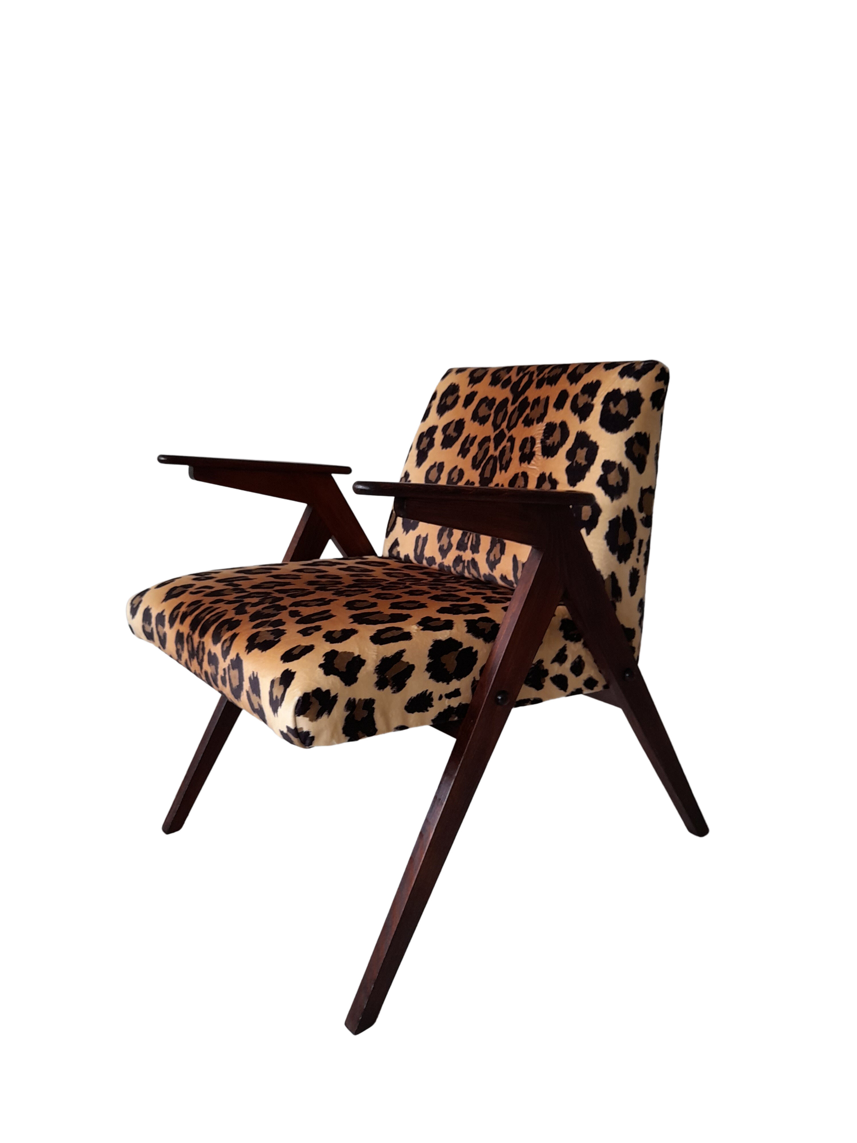Leopard print velvet bunny armchair from dolnośląskie fabryki mebli, 1960
