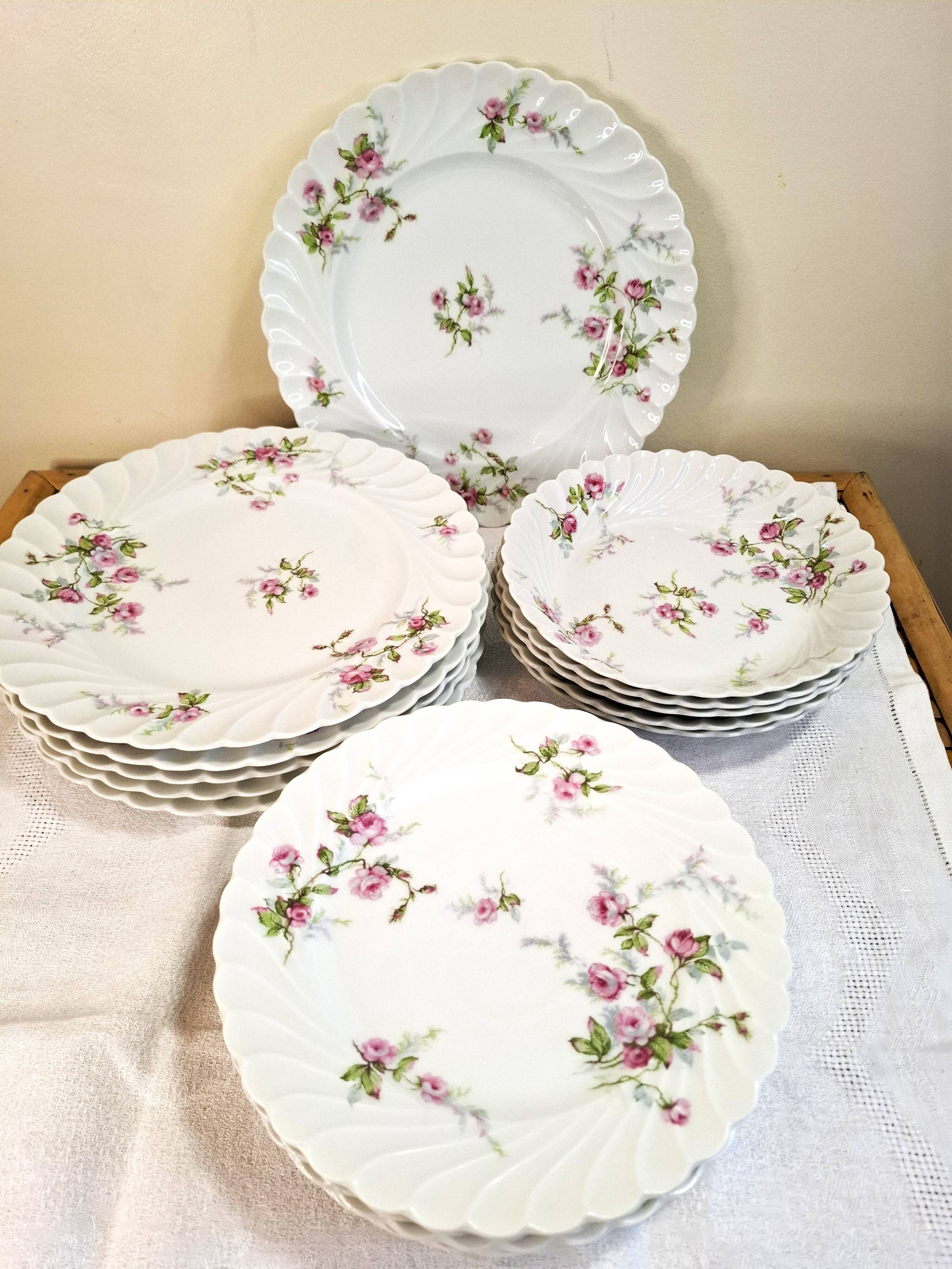 Haviland Limoges porcelain plates