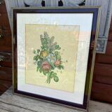 Reproduction botanical work Flowers