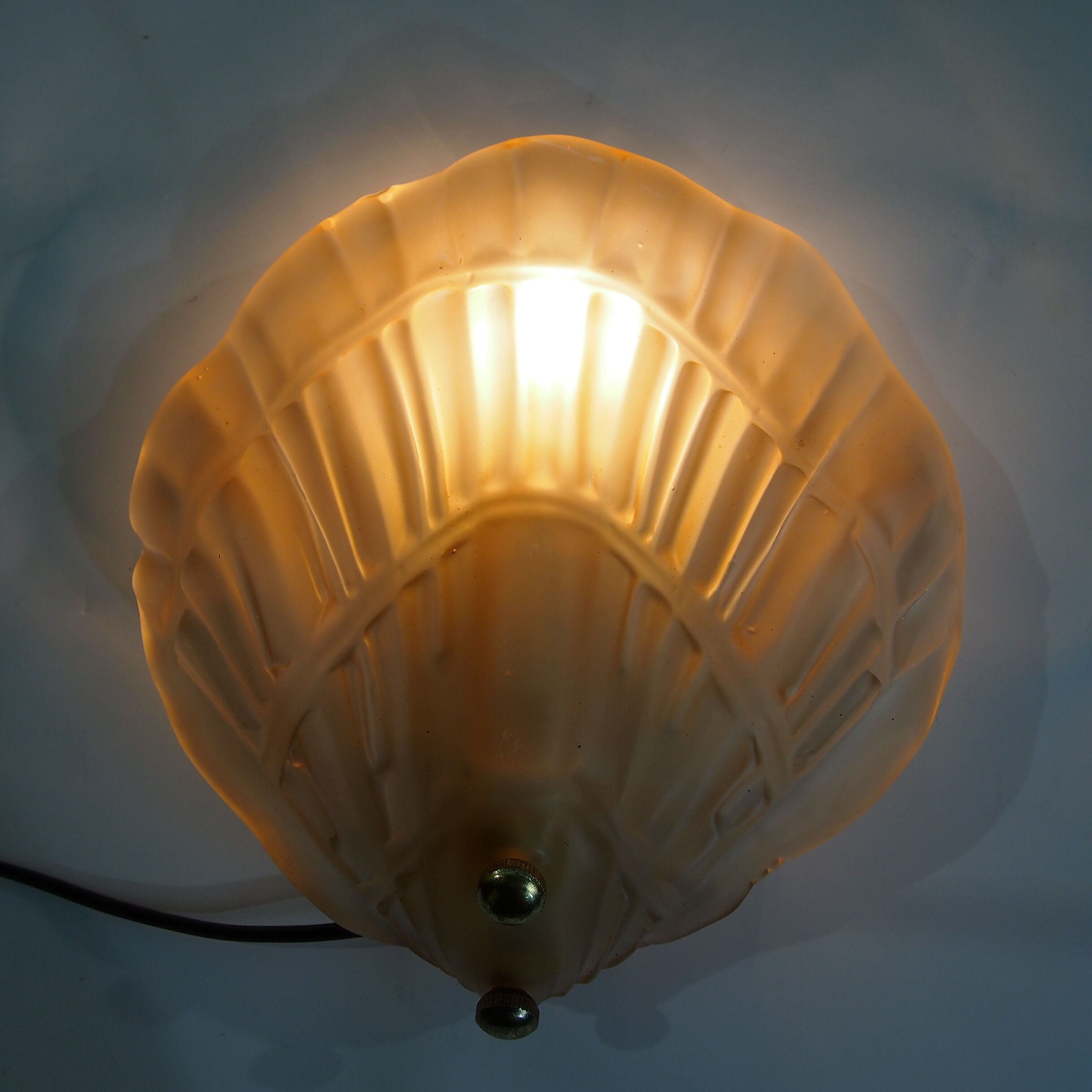 Wall shell sconce