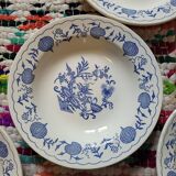 Set of 5 Blue Onion deep plates