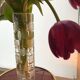 Vintage Vase • Hand Cut Crystal • Bauhaus • Schott Zwiesel • 1950
