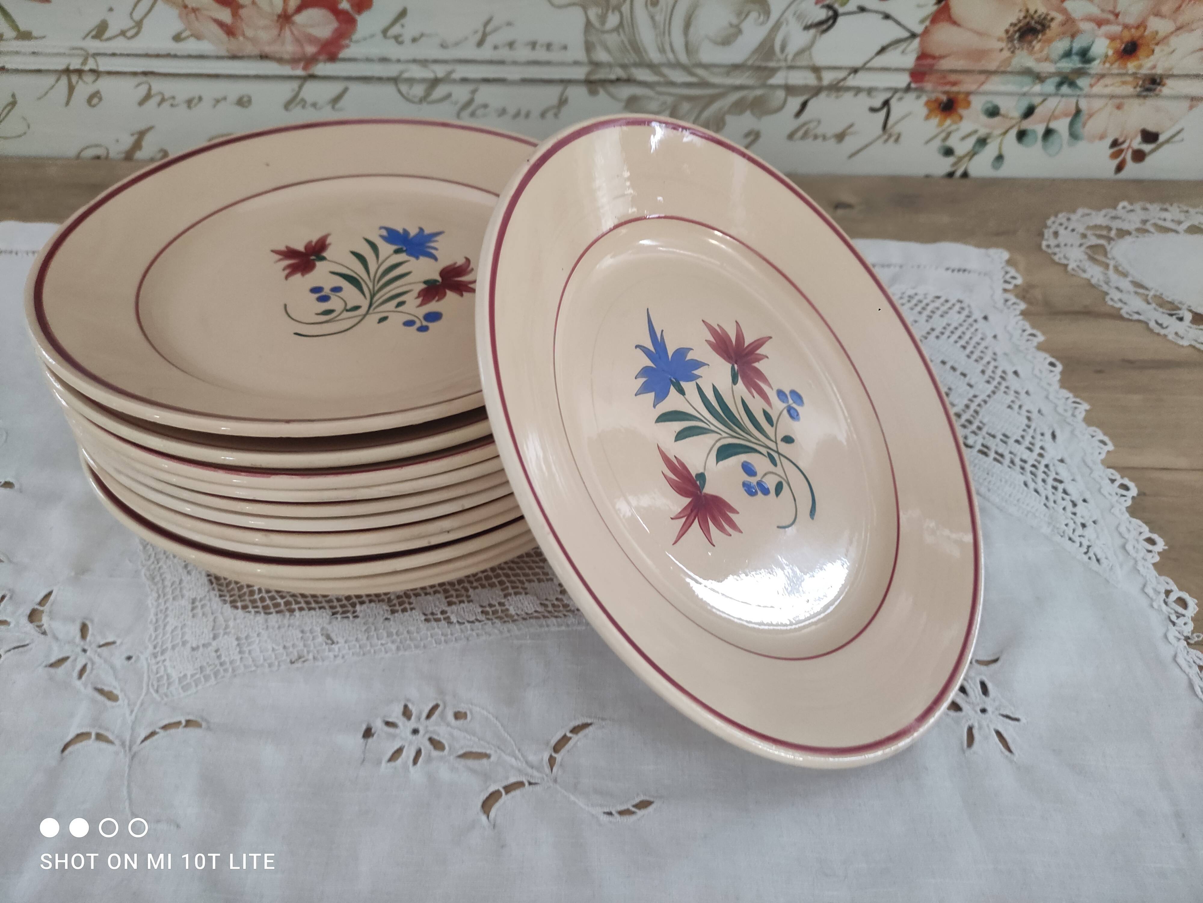 Set of 12 flat plates 30s earthenware K&G Lunéville model Denise