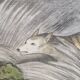 La Roche Laffitte (Born in 1943) - Watercolour drawing on silk Wolf trap
