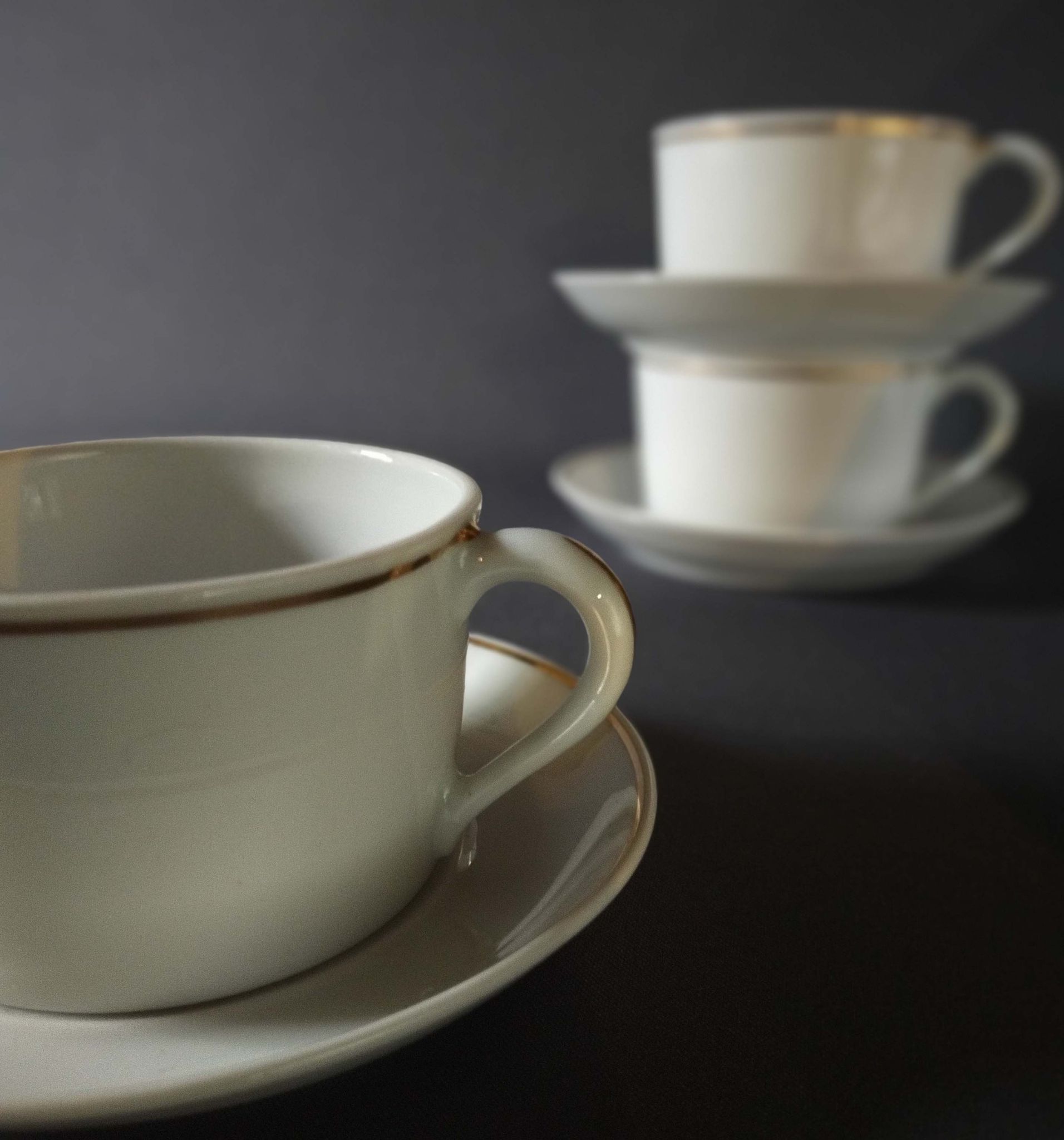 Snake porcelain cups and soups