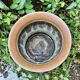 Large brass champagne bucket with baroque lion from the 19th century.