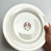 Iron earth plate Salins model without worry old cream flowers