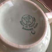 Peppermint coffee and dessert service / Villeroy - Boch / vintage 50-60