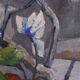 Original Swedish oil on canvas – “Winter Cyclamen” by Majken Bergvin (1922–2012) – 1965 – vintage & framed – 62 × 43 cm