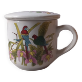 Parrot tea room