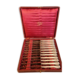 Box of 12 dessert knives