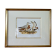 Birds - collection Hepatior N ° 28