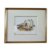 Birds - collection Hepatior N ° 28