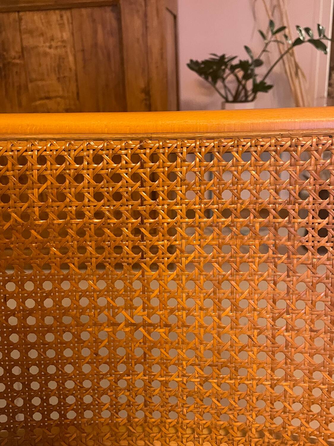 Cesca b32 chair by Marcel Breuer