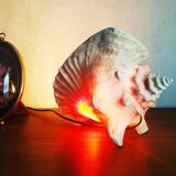 Natural seashell lamp