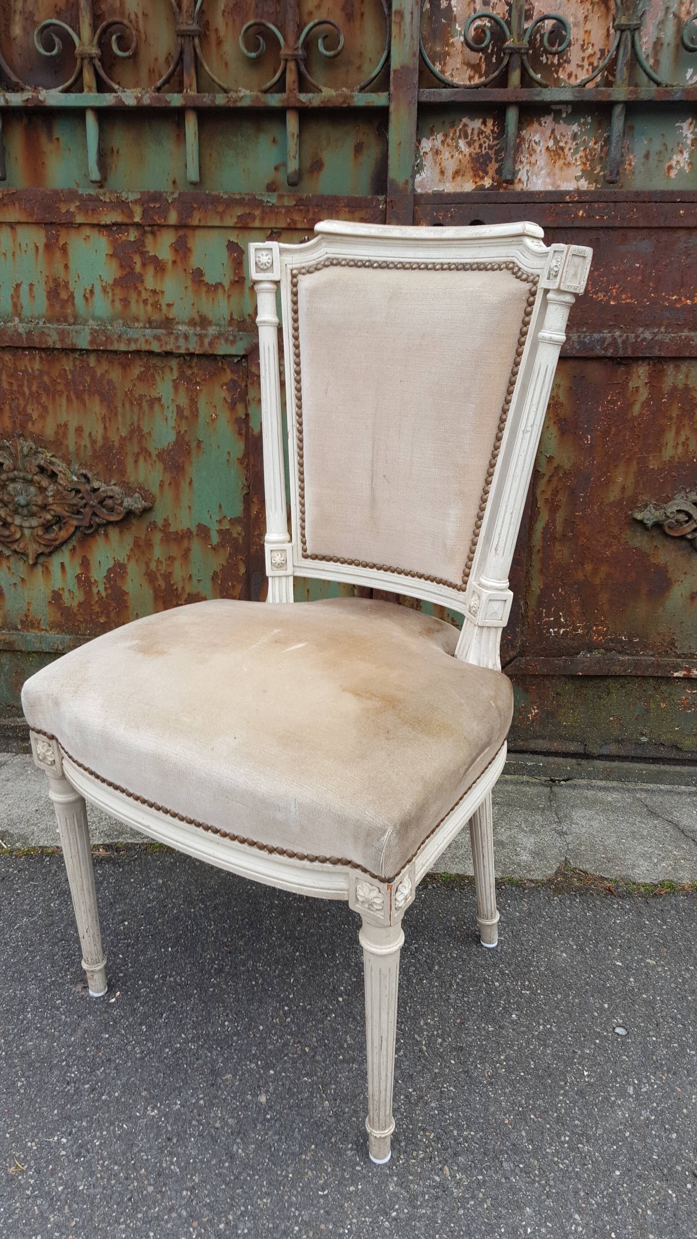 6 Louis XVI chairs
