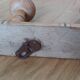 Porte manteau mural en bois façon bambou à 3 patères forme champignon