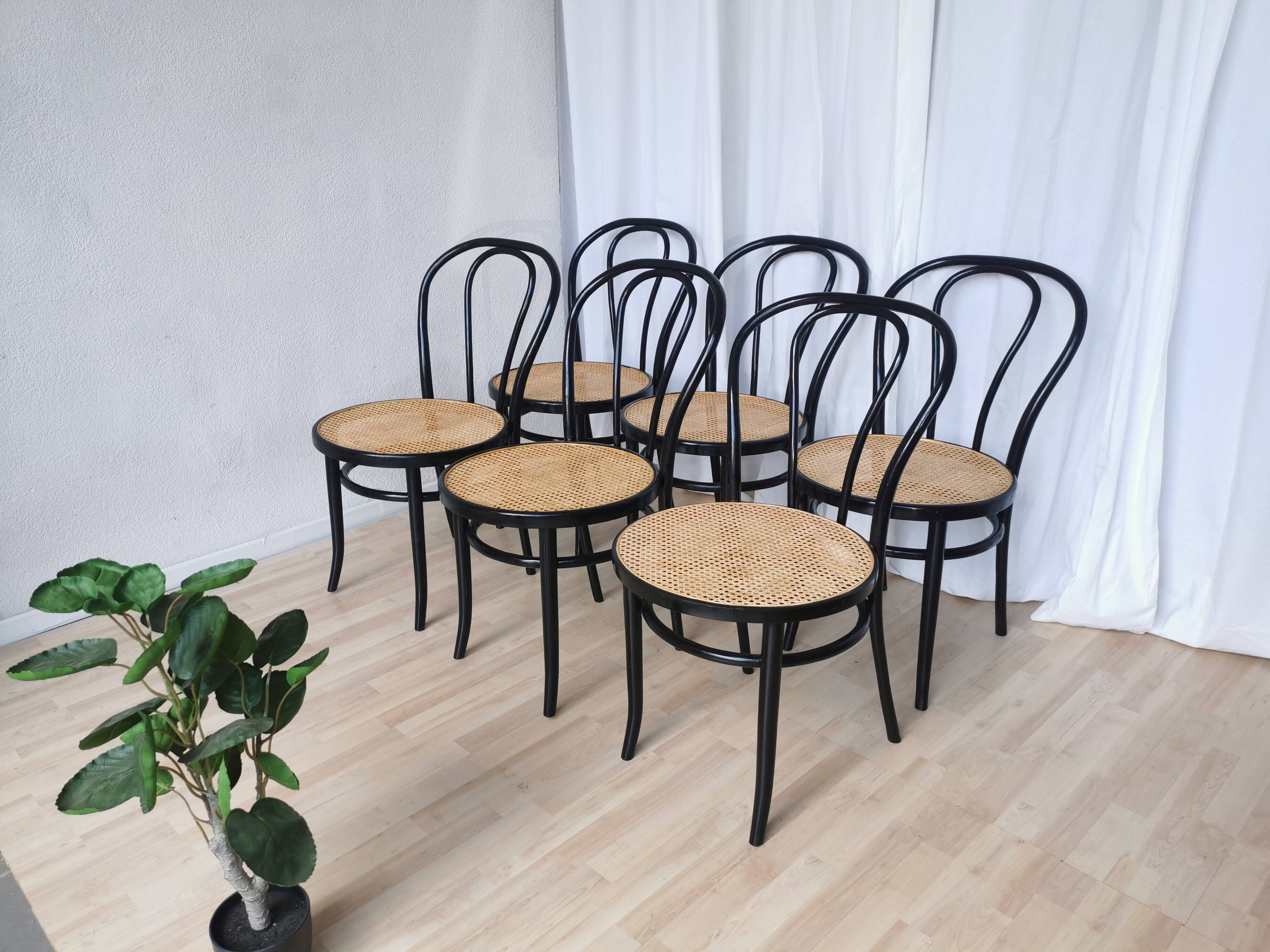 Set of 6 Vintage Thonet Style Dining Chairs: Black Bentwood Cane Seat