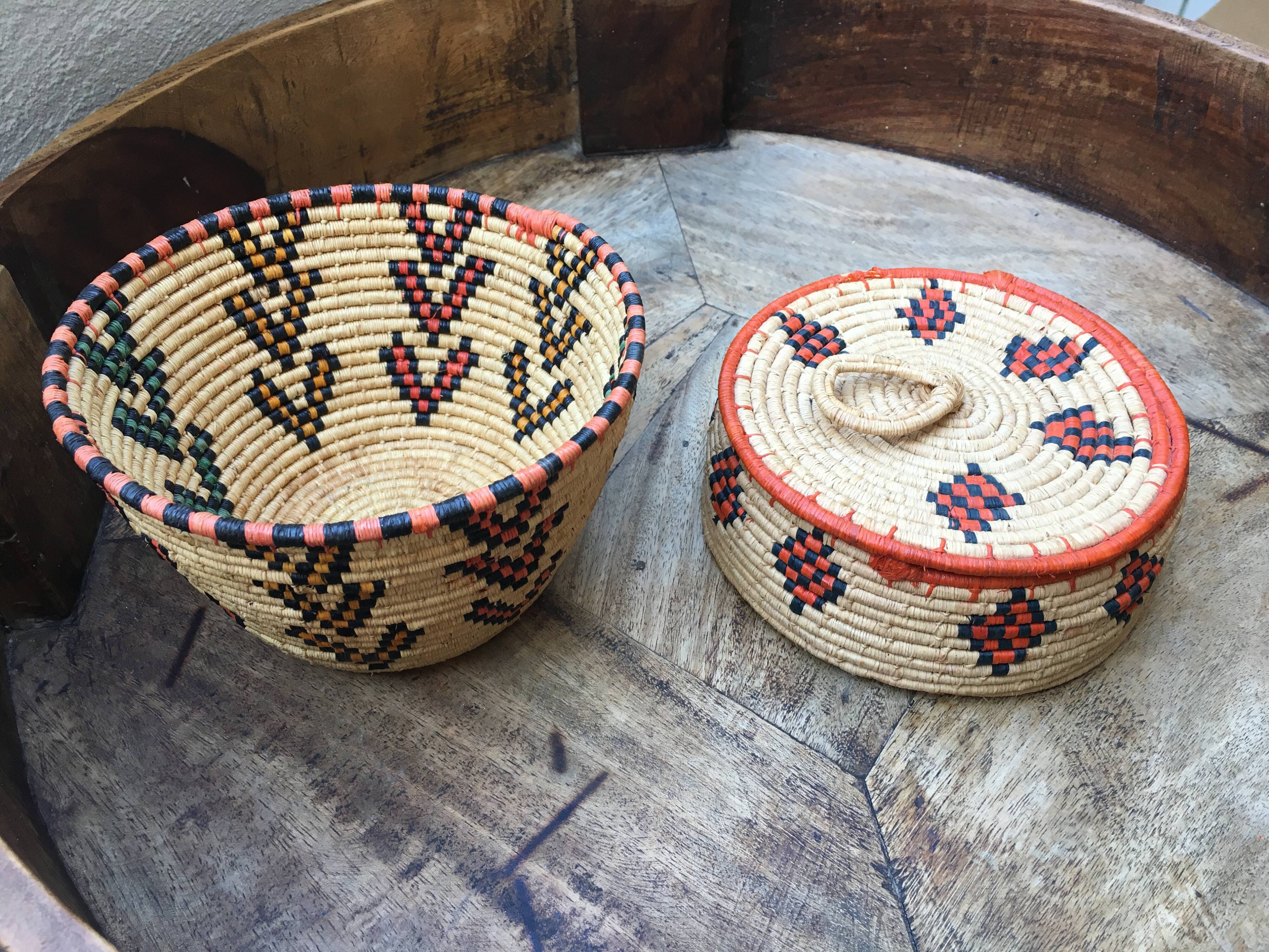 African lidbox and raffia cockroaches
